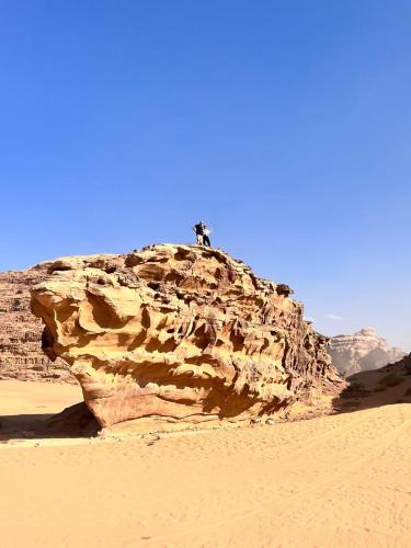 a person standing on top of a rock in the desert at White Desert Camp in Wadi Rum