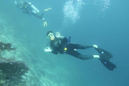 una persona en traje de neopreno nadando en el océano en Marine homestay, en Fam