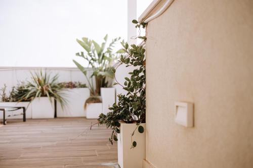 a room with potted plants on the side of a wall at Suite1212 - Rattazzi in Monopoli