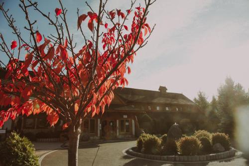 a tree with red leaves in front of a building at Bajka Hotel & Resort in Grodziec
