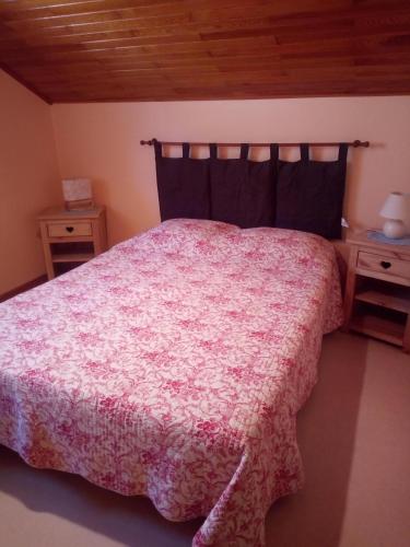 une chambre avec un grand lit avec une couverture rose dans l'établissement Abondance, à Abondance