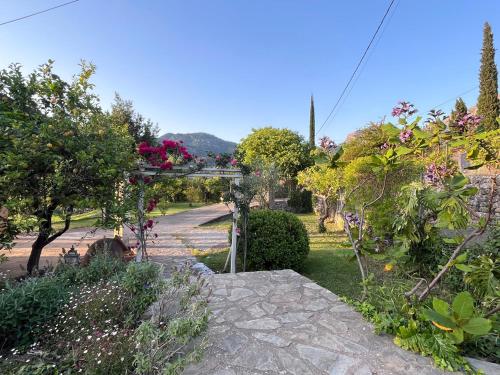 Taman di luar Cas Puput Mallorca