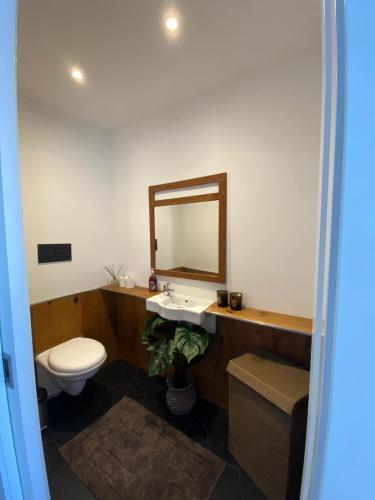 a bathroom with a toilet and a sink and a mirror at Rooftop Heated Jacuzzi, Fireplace, A Unique Home! in Żebbuġ
