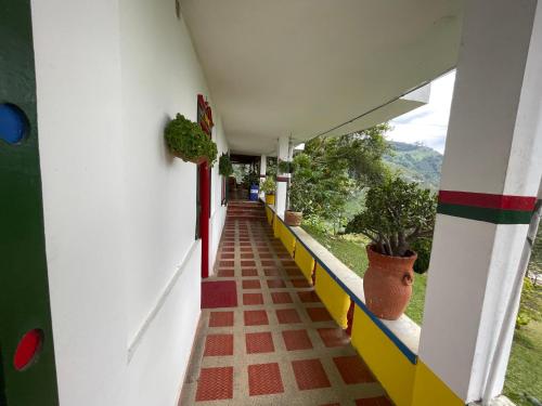 Gallery image of El Gran Mirador in Buenavista
