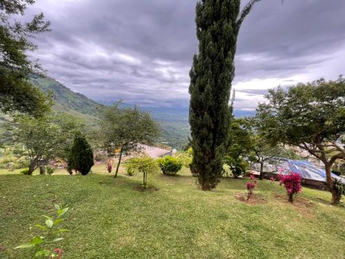 Gallery image of El Gran Mirador in Buenavista
