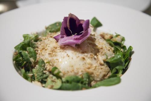 a salad with a purple flower on a white plate at Hotel Miba in Salobreña