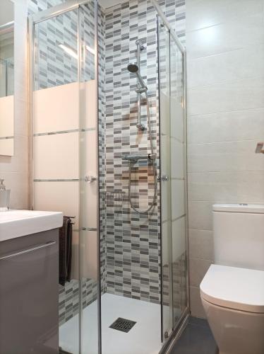 a bathroom with a shower and a toilet at Bejar Alojamiento La Plaza in Béjar