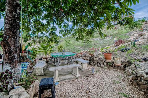 Κήπος έξω από το Jehane Cabana at Bella Vue Estate