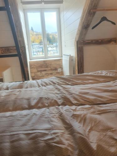 1 dormitorio con 1 cama grande y ventana en Bienvenue chez les ch'oups ' la ooh', en La Bourboule