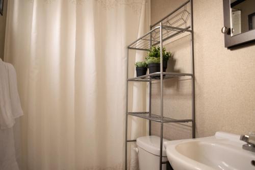 濱湖尼亞加拉的住宿－Vine Ridge Resort，一间带卫生间和淋浴帘的浴室