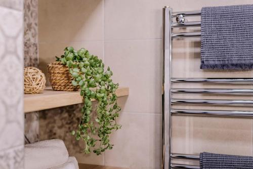 a plant hanging from a rack in a kitchen at Amade Apartments in Győr