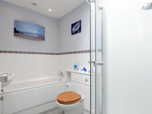 a white bathroom with a toilet and a shower at St Elmo Lodge in Salcombe