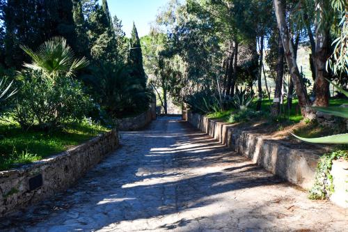 a dirt road with trees on the side of it at Dream House in Piazza Armerina