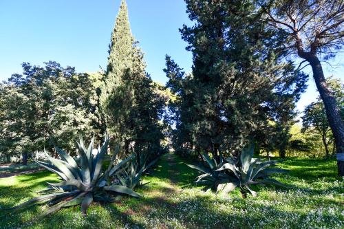two plants in a park with trees and grass at Dream House in Piazza Armerina
