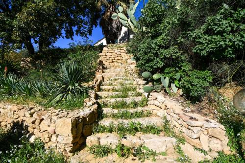 a stone path in a garden with plants on it at Dream House in Piazza Armerina
