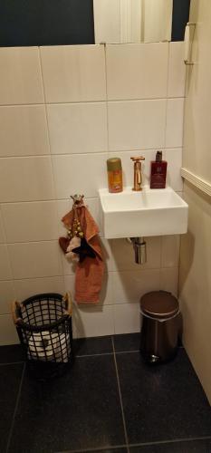 a bathroom with a sink and a trash can at De Cosy Barock met gezellige Patio ! in Breda