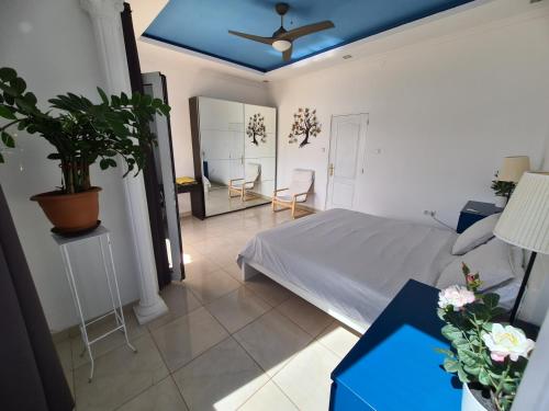 1 dormitorio con 1 cama y techo azul en Francisco's Holiday Home en Las Palmas de Gran Canaria