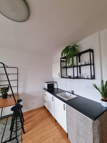 eine Küche mit einer Spüle und einer Arbeitsplatte in der Unterkunft -NEW-Rosetta Apartment in Piešťany
