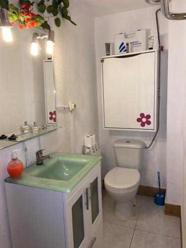 a bathroom with a toilet and a sink and a mirror at Les Oliveres - casa- apartament in Vilafant