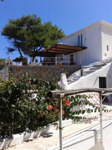 a view of a building and a house with flowers at Casadelpino Residence La Piana in Ponza