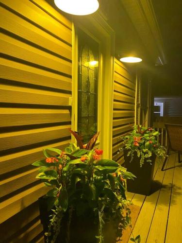 a porch with some plants and flowers on it at Modern Beach House long stay discounts in Sarnia
