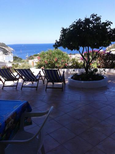 a group of chairs and a tree on a patio at Casadelpino Residence La Piana in Ponza