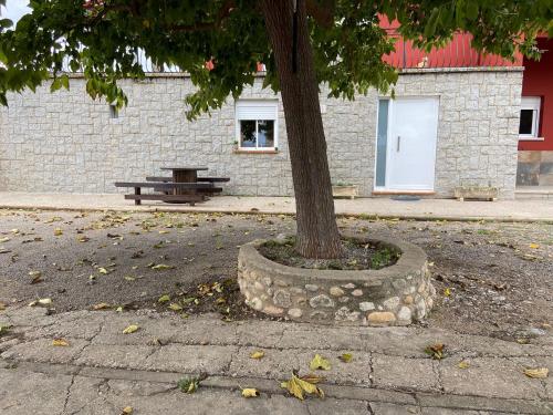una mesa de picnic y un árbol frente a un edificio en Les Oliveres - casa- apartament en Vilafant