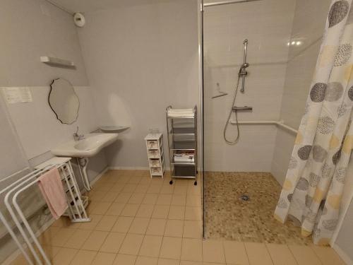 Saint Paul de LoubressacにあるHotel au Charme du Levatのバスルーム(シャワー、シンク付)