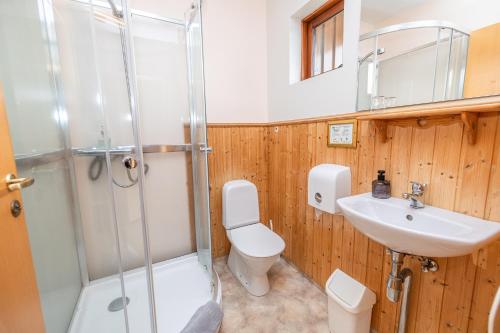 a bathroom with a toilet and a sink and a shower at Árnanes Country Hotel in Höfn