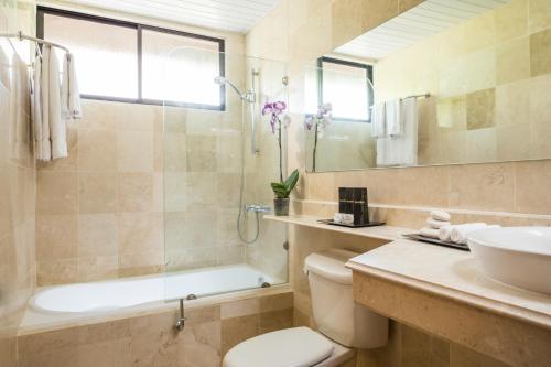 a bathroom with a toilet and a sink and a tub at BlueBay Villas Doradas Adults Only-All Inclusive in San Felipe de Puerto Plata