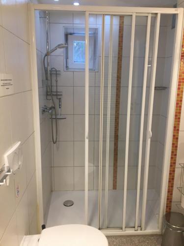 a shower stall in a bathroom with a toilet at Ferienwohnungen Fuchssteige in Heidenheim