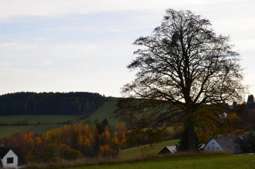 Gallery image of Penzion Gaudeamus in Milovy