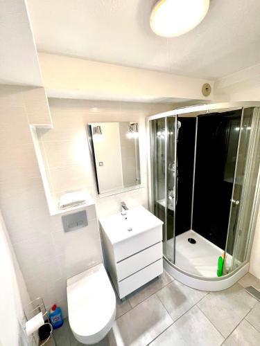 une salle de bain avec toilettes, lavabo et douche dans l'établissement Studio équipé - Canal du Midi à Toulouse, à Toulouse