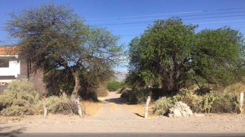 Posada los arboles – Photos 2