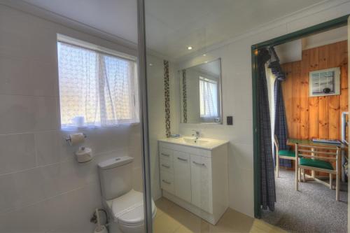 a bathroom with a toilet and a sink and a mirror at Acacia Snowy Motel in Jindabyne