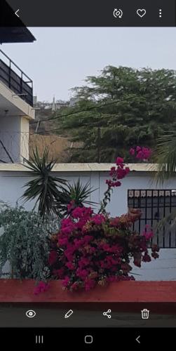 una caja de la ventana con flores rosas en un edificio en Casa Piscina, Punta Mero, en Talara