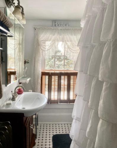 a bathroom with a sink and a window at The Bella Ella Bed and Breakfast in Canandaigua