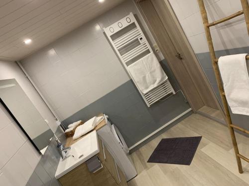 een kleine badkamer met een wastafel en een handdoek bij Le Terrier du Katz in Dabo