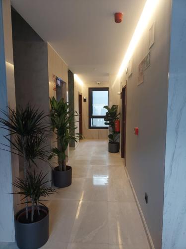 Foto dalla galleria di HOTEL BOUTIQUE DOÑA MANUELA a Tomelloso