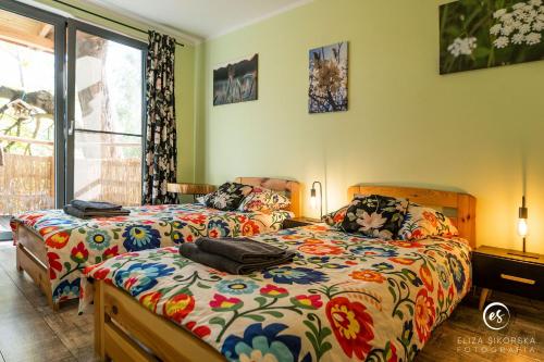 sypialnia z 2 łóżkami i oknem w obiekcie Ranczo Dolidki w mieście Gwieździn