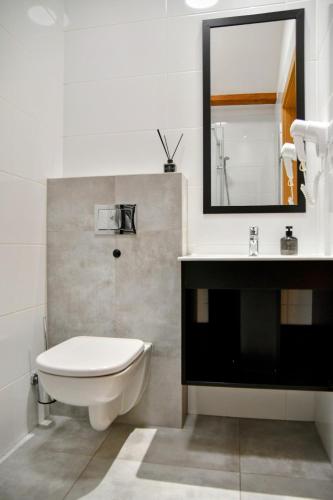 a bathroom with a toilet and a sink and a mirror at Wine Apartments in Kraków