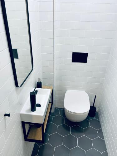 a bathroom with a white toilet and a sink at Boutique apartment Heidi with mountain view in Loučná pod Klínovcem