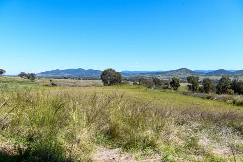 a field of grass with mountains in the background at Tamworth Country Escape with a beautiful swimming pool! in Loomberah
