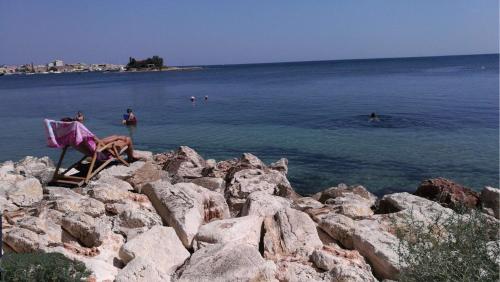 Paesaggio naturale nelle vicinanze dell'appartamento