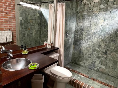 La salle de bains est pourvue de toilettes, d'un lavabo et d'une douche. dans l'établissement Casa 38 de la Parcelación Lagos de Pontezuela, à El Retiro