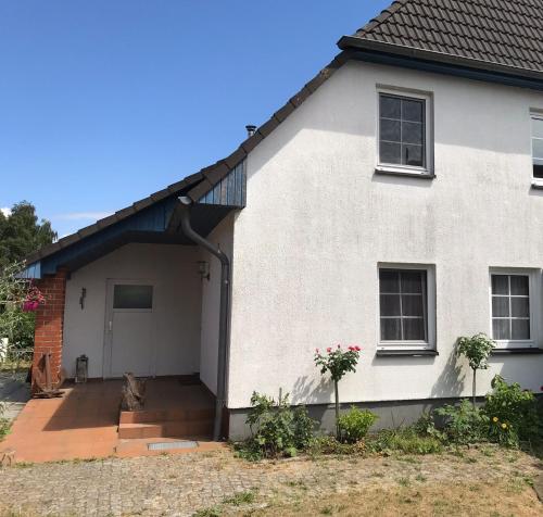 a cat sitting in front of a white house at Pension Martens - Lotte in Wieck