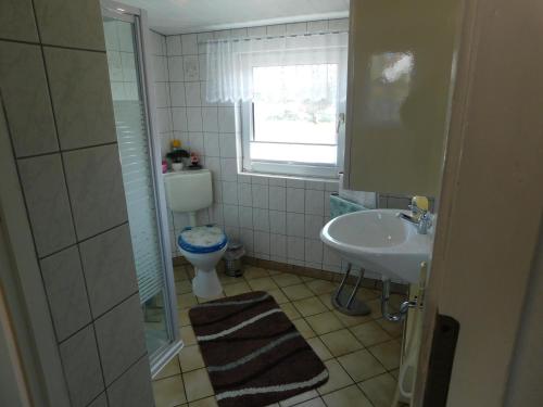 a bathroom with a toilet and a sink at Haus Krüger in Wieck