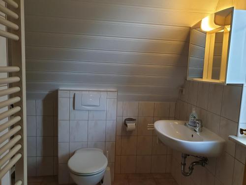 a small bathroom with a toilet and a sink at Pension Martens - Mansadenwohnung in Wieck