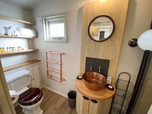 a bathroom with a sink and a toilet and a mirror at Little Red House - Uk41233 in Shelve