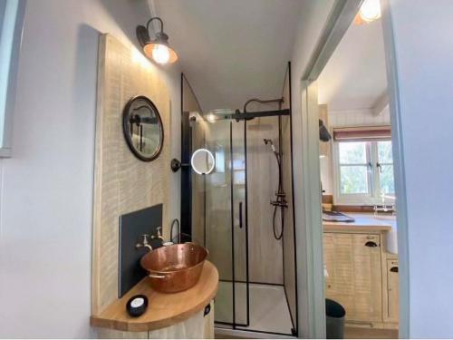 a bathroom with a sink and a shower at Little Red House - Uk41233 in Shelve
